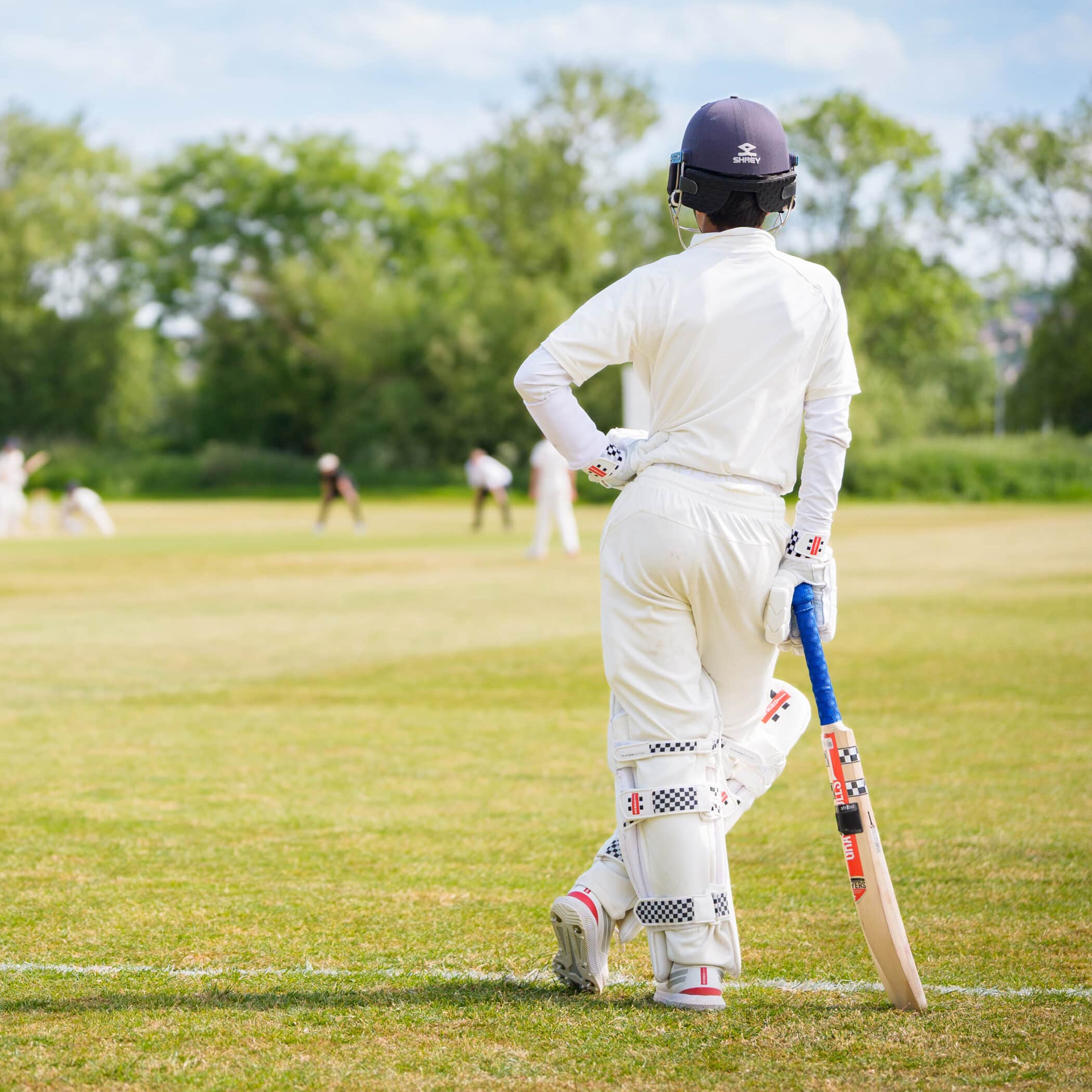 Boys overlooking cricket on the Head