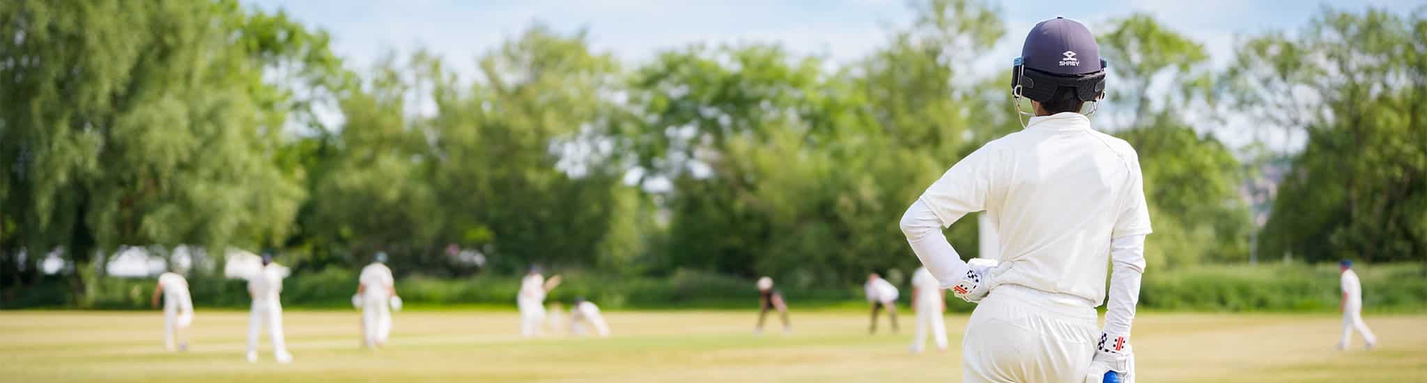 Boy overlooking cricket on the Head.