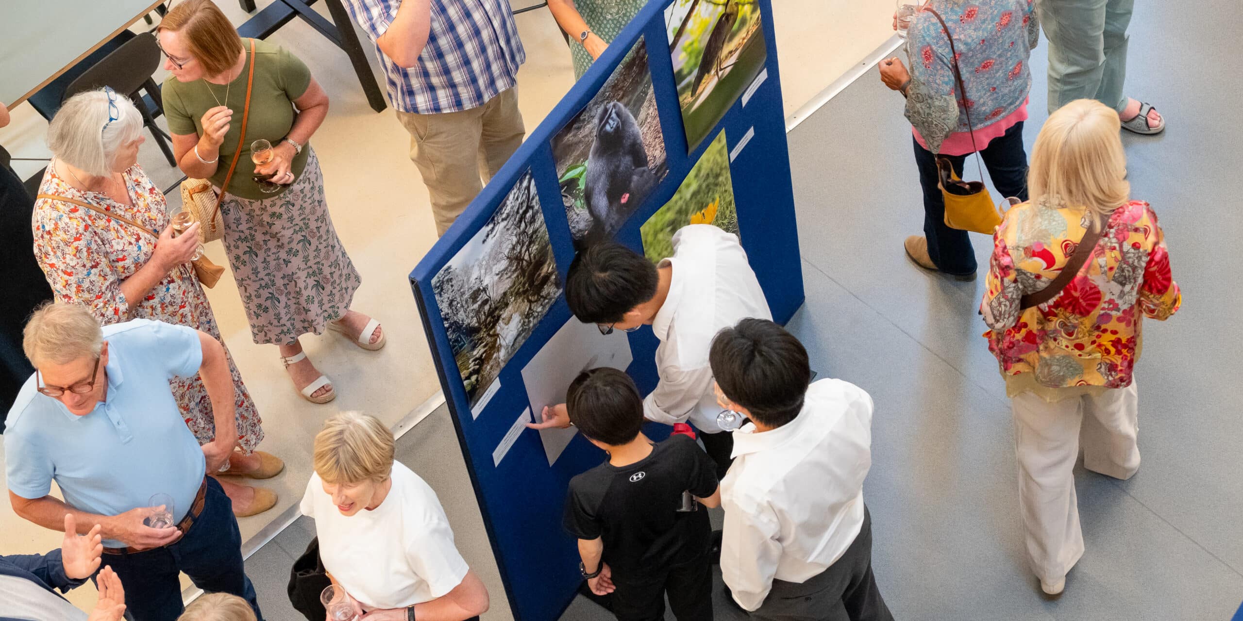 Wildlife Photography Competition